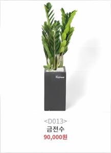 개업화분