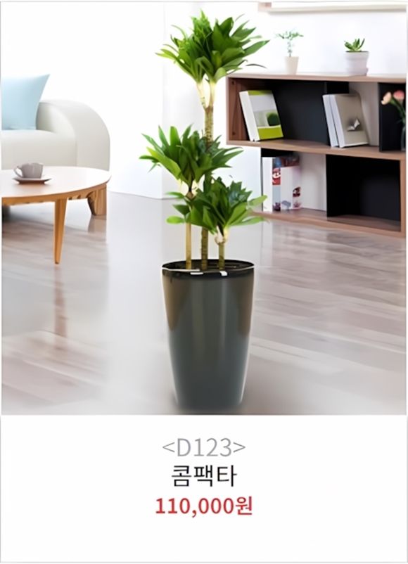 일산개업화분 개업식 축하 화분배달