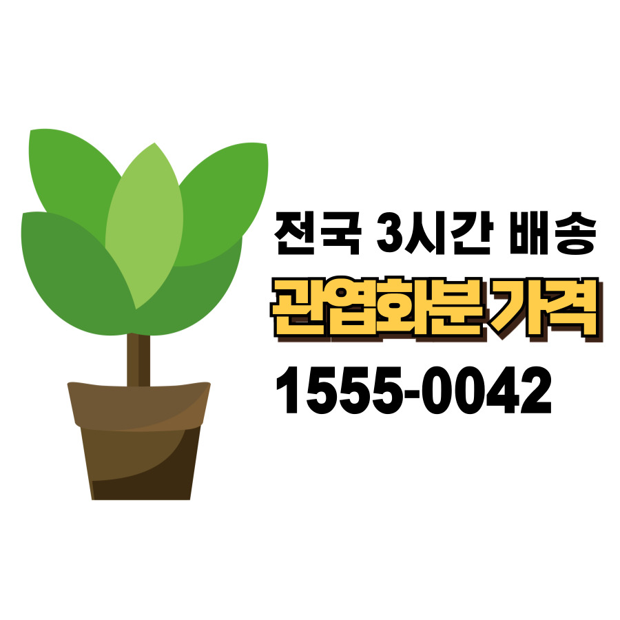 개업화분가격.jpg